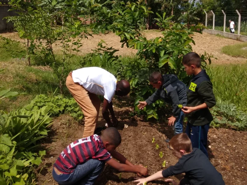 Crianças plantando na horta