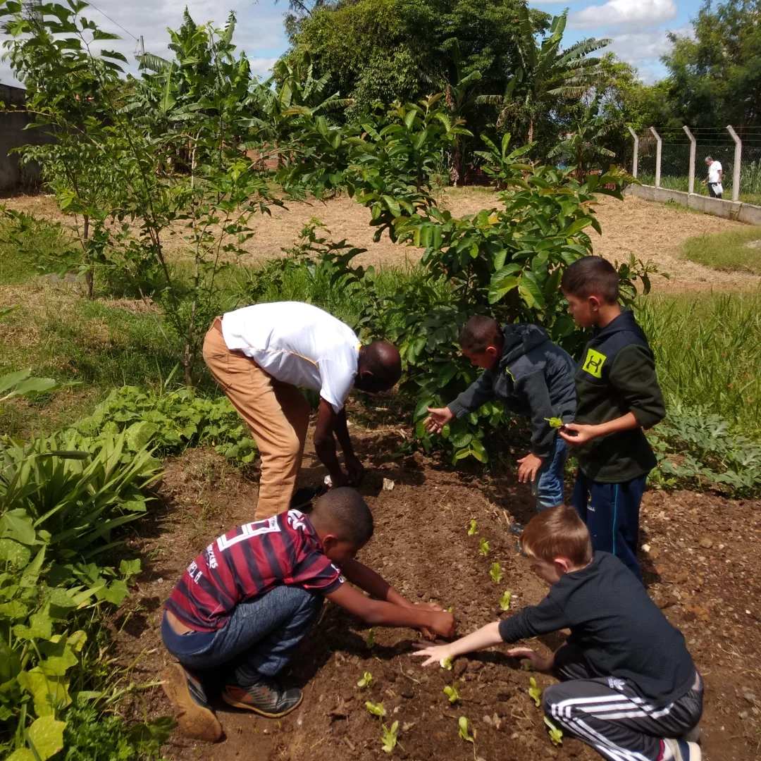 Foto do projeto Projeto Educa Verde